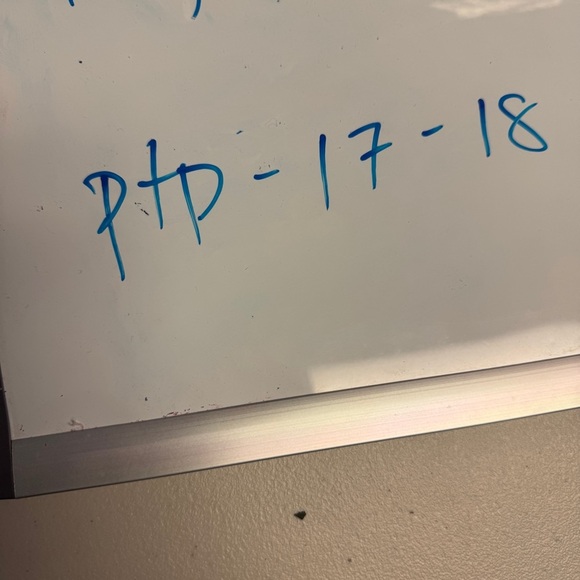 All Saints Floral Sheer Mesh Bodysuit Black Beige Size 2 Long Sleeve Top - Picture 15 of 16